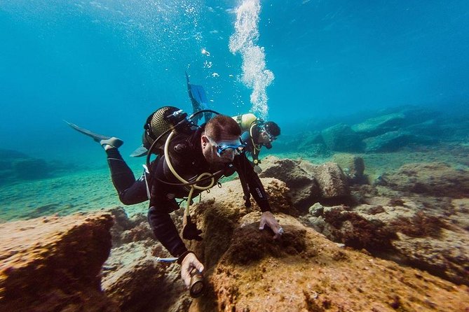 Eco Adapted Diving in Tenerife - Good To Know