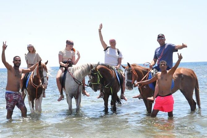 El Gouna Horse Ride Tour - Overview of the Tour