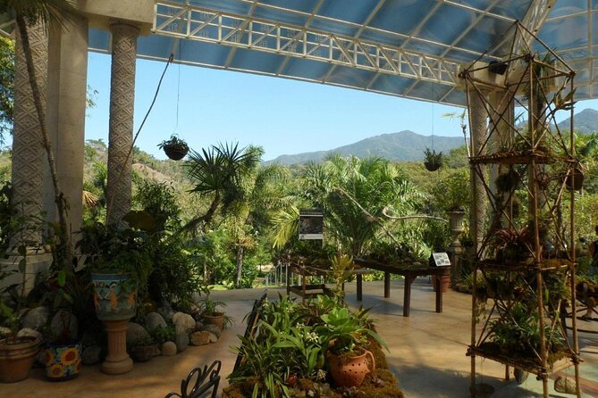 El Tuito Day Trip From Puerto Vallarta With Tequila and Lunch - Key Points