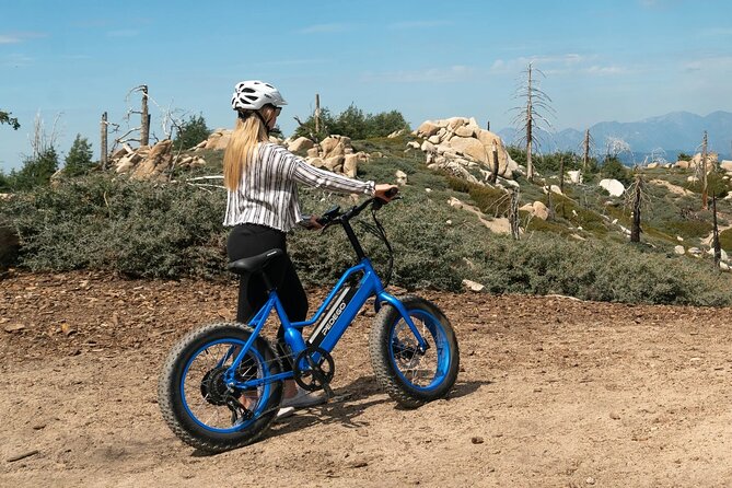 Electric Bike - Good To Know
