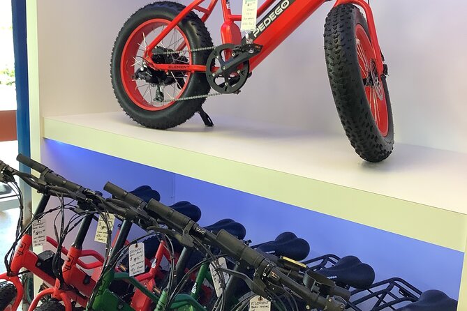 Electric Bikes Rental in Dunedin - Good To Know