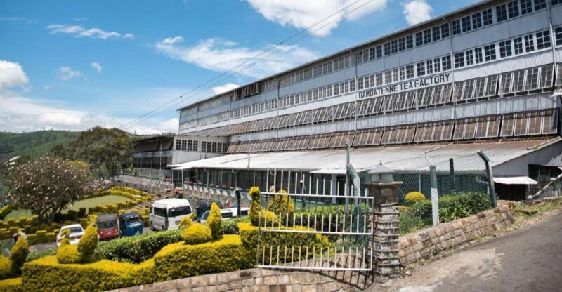 Ella: Liptons Seat Tour With Dambetanna Tea Factory Visit - Good To Know