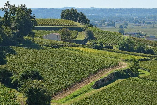 Enjoy Saint-Emilion With a Wine Tasting in 5 Hours. Keep Cool and Discover - Good To Know