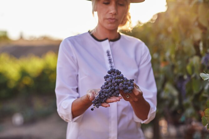 Europa Village Winery Tour Including 8 Tastings & 3 Food Pairings - About Your Stay