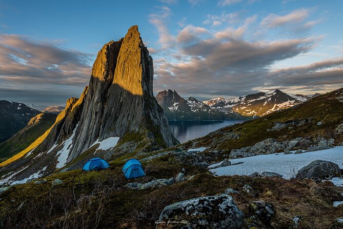 Evening Fjords Tour in Kvaløya - Key Points