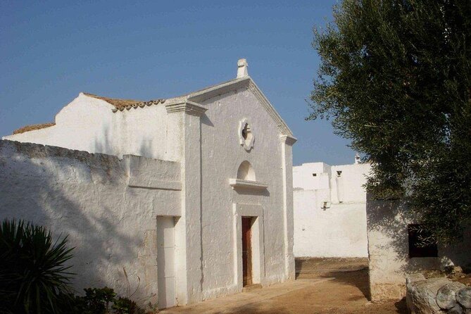 EVO Oil Tasting in Masseria in Ostuni - Good To Know
