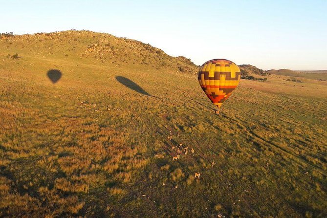 Exclusive Safari Flight - Good To Know
