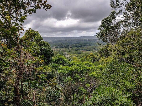 Exotic South: Journey Into the Nature (Full-Day Tour Incl Lunch & Ebony Forest) - Good To Know