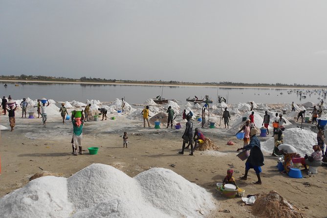 Experience Dakar-Goree-Pink Lake-Safari Tour in 2 Days - Good To Know