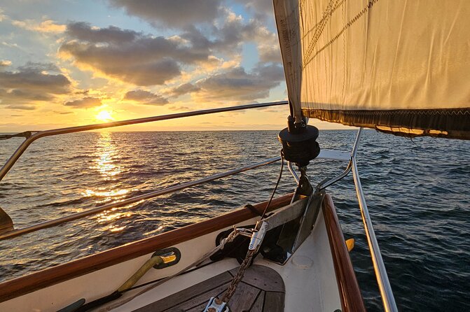 Experience Oceanside Sailing With Whales and Dolphins! - Good To Know