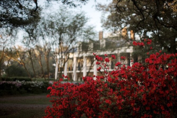 Explore Oak Alley Plantation Guided Tour With Transportation - Good To Know