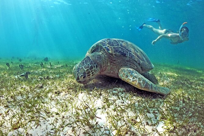 Exploring Nosy Sakatia With Guide - Good To Know