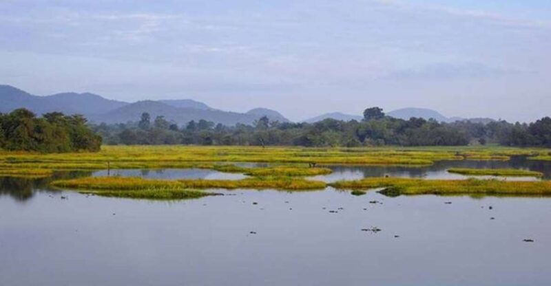 Exploring Seetha Ammans Captive Life: A 6-Day Tour - Good To Know