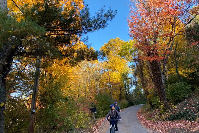 Fall Colors Bike Tour With Chattanooga Guided Adventures - Good To Know