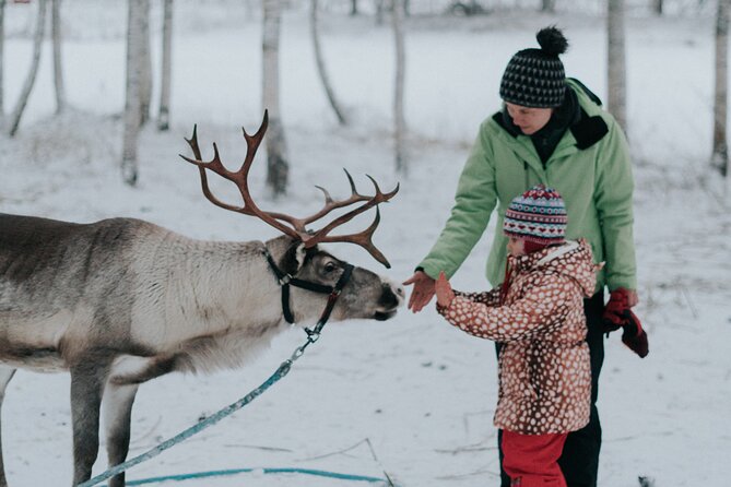 Family Day: Reindeer, Husky and Snowmobiling in Levi - Good To Know