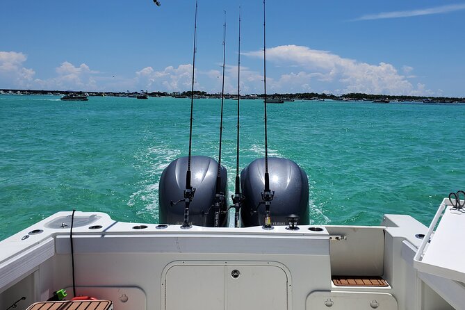 Family Fun Combo: Dolphins, Fishing & Swimming (Flowing Water Charters) - Overview of Flowing Water Charters