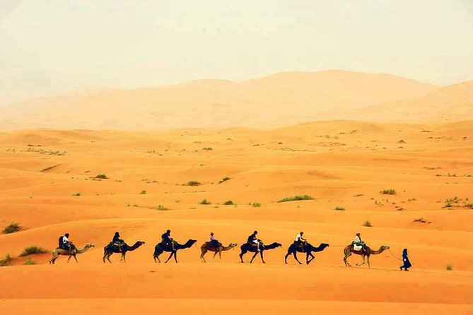 Fes to Marrakech 3 Days Desert Tour - Good To Know