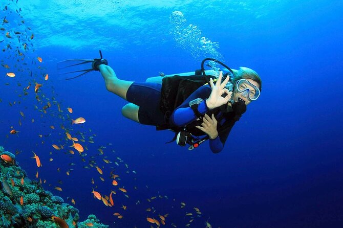 Fethiye Scuba Diving Experience By A Local Expert - Good To Know