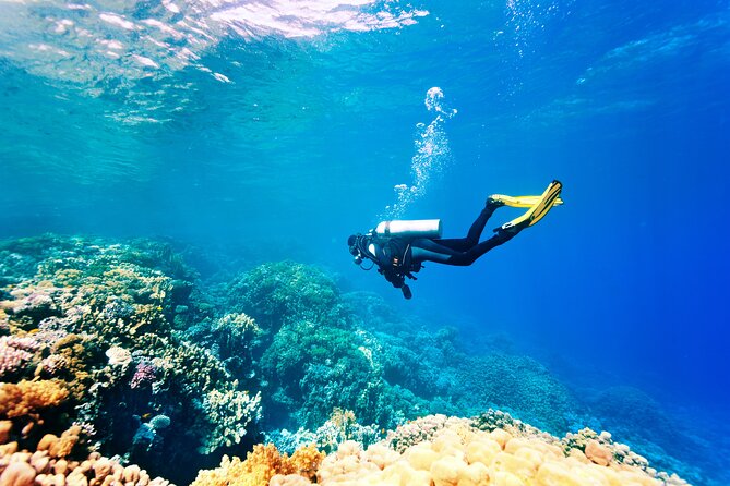Fethiye Scuba Diving Experience - Key Points