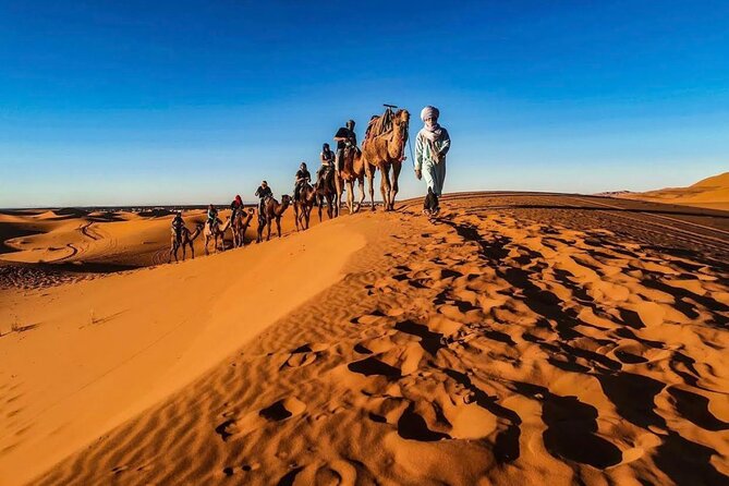 Fez Luxury Private 3-Day Desert Tour to Marrakech - Tour Highlights