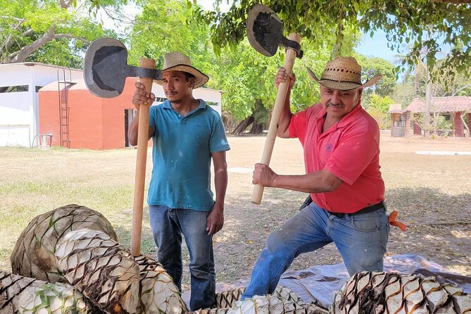 Finca 18 Tequila Tour With Snacks + Optional Pickup Point - Key Points