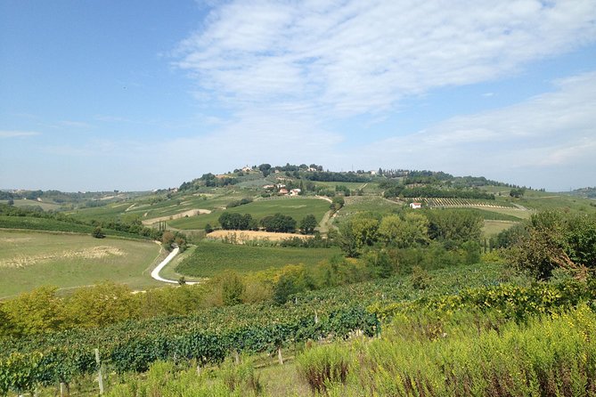 Florence and Wine Tasting Tour Review - Key Points