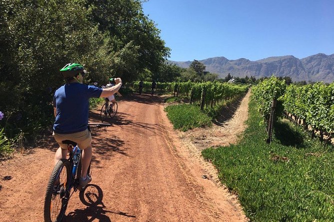 Franschhoek Cycle & Tasting Experience 4hr (Shared) - Good To Know