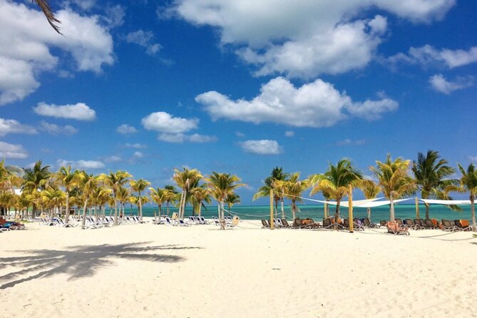 Freeport Shore Excursion: All-Inclusive Viva Wyndham Fortuna Beach Resort Pass - Overview of the Excursion