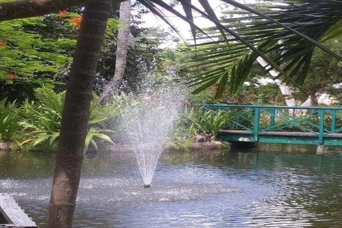 Freeport Shore Excursion: Garden of the Groves and City Tour - Key Attractions