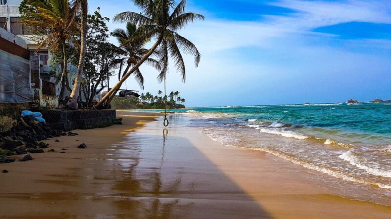 From Colombo Port: Sout Coast, Galle Fort, Guided Tour - Good To Know