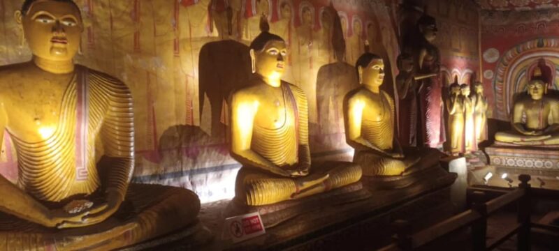 From Colombo: to Sigiriya & Dambulla One Day Tour - Good To Know