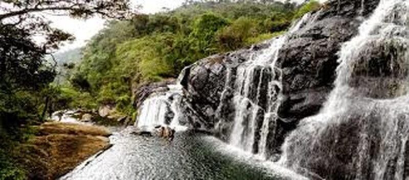 From Ella : Horton Plains National Park & Nuwaraeliya Tour - Good To Know