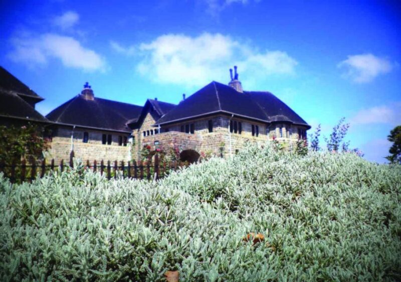 From Nuwara Eliya: Haputale Highlands Private Day Tour - Good To Know