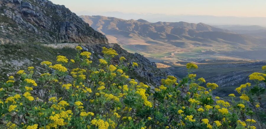 From Oudtshoorn: Full Day Swartberg Mountain Private Tour