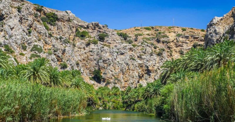 From Rethymno: Preveli Palm Forest, Damnoni and Plakias Tour - Good To Know