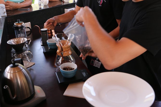 From Seed to Cup - Coffee Experience at La Palma Y El Tucan - Good To Know