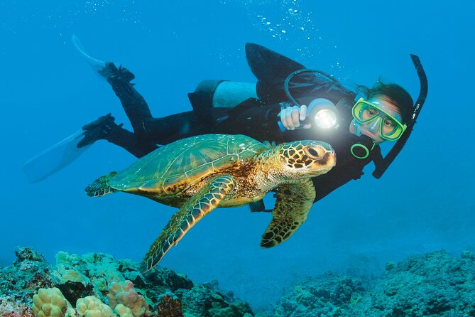From Side, Alanya: Scuba Diving With 2 Time Dive & Lunch - Good To Know