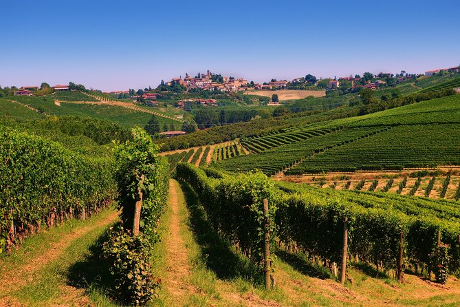 From Turin Private, Langhe Wine Tour With Transfer and Lunch - Overview of the Tour