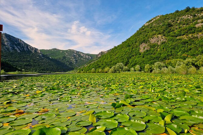 From Virpazar: Visit Karuč, the Hidden Pearl of Lake Skadar - Tour Overview