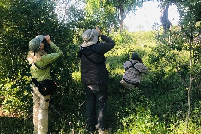 Full Day Birding Zambezi National Park Includes Picnic Lunch - Good To Know