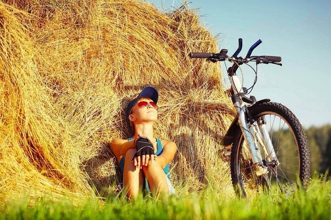 Full-Day Chianti E- Bike Tour - Key Points
