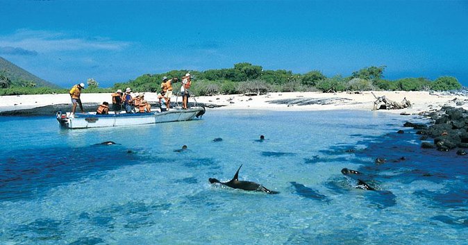 Full Day Española Island - About Your Stay