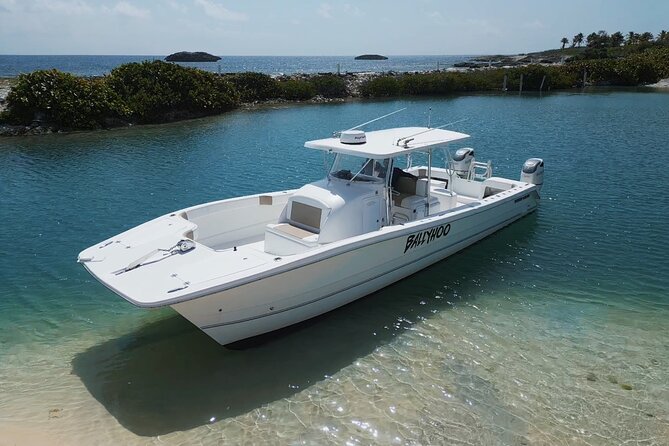 Full-Day Fishing Charter in East Coast, Puerto Rico - Key Points