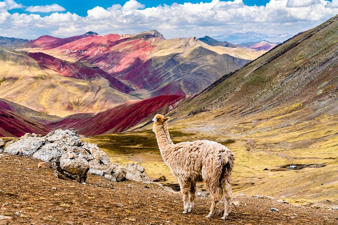 Full-Day Guided Tour to Palccoyo Rainbow Mountain - Good To Know