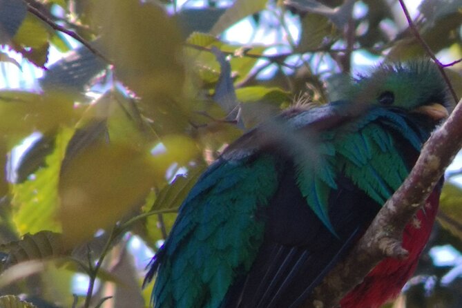 Full Day Hiking and Bird Watching at Savegre River San Gerardo Near to San Jose - About Your Stay