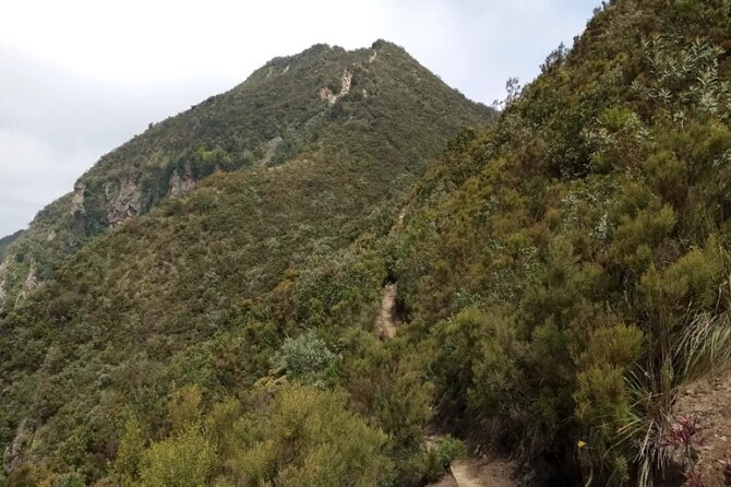 Full-Day Hiking Guided Adventure at Mount Longonot - Overview of the Adventure