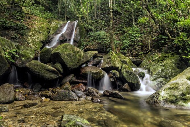 Full-Day Kinabalu Park and Poring Hot Spring Day Trip - Good To Know