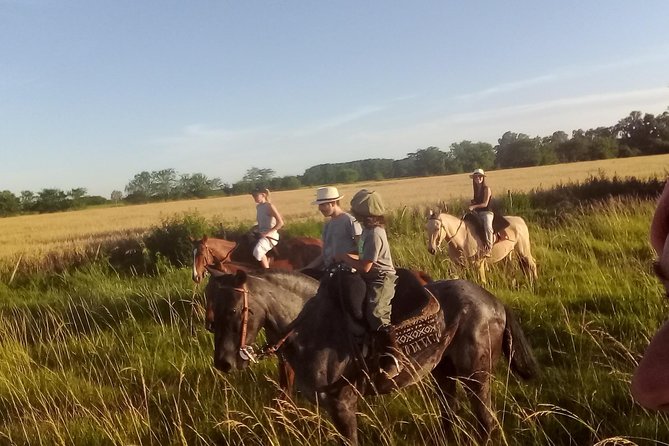Full Day: Pool, Picnic, Guided Horseback Riding and Dinner - About Your Stay