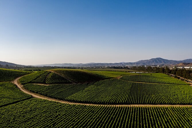 Full-Day Private Casablanca Valley Wine Tour From Santiago - About Your Stay