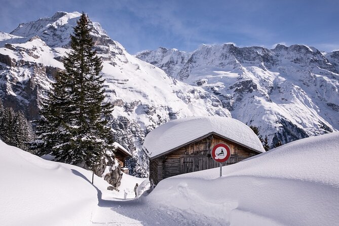 Full Day Private Guided Scenic Train Tour to the Swiss Alps - Tour Overview